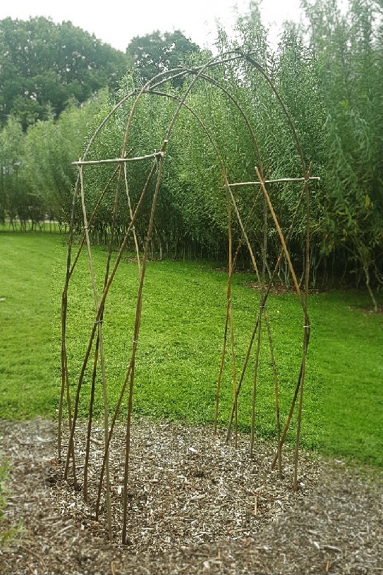 Living Willow Arch Kits 
