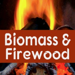Growing Your Own Firewood