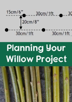 Your Willow Project