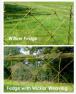 Living Willow Fedge (Fence) Kit - per metre - view 6