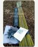 Living Willow Fedge (Fence) Kit - per metre - view 2